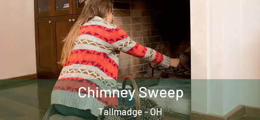  Chimney Sweep Tallmadge - OH