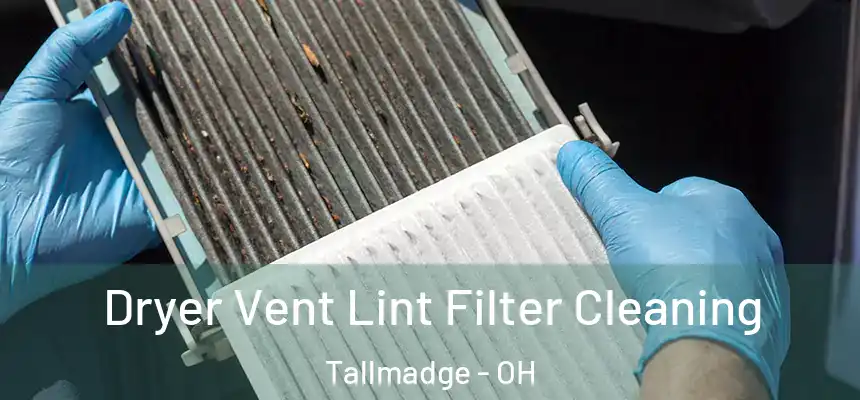 Dryer Vent Lint Filter Cleaning Tallmadge - OH