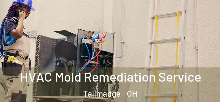  HVAC Mold Remediation Service Tallmadge - OH