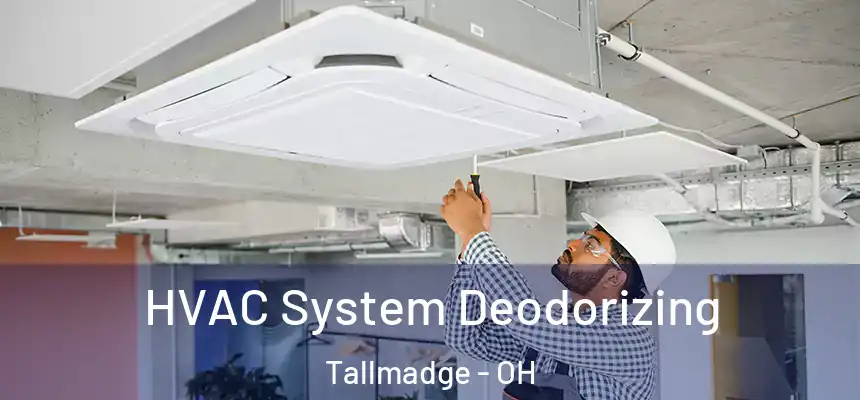  HVAC System Deodorizing Tallmadge - OH