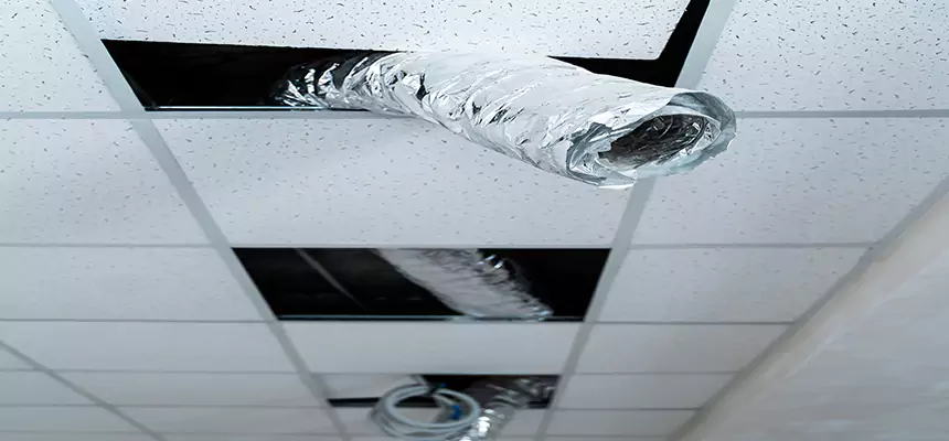 Affordable HVAC Sanitizing After Pest Removal in Tallmadge