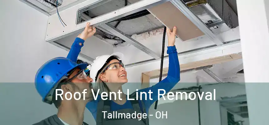 Roof Vent Lint Removal Tallmadge - OH
