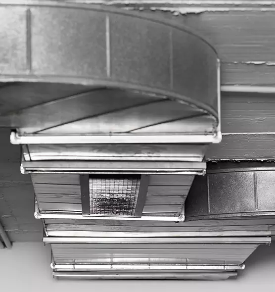 Professional Air Duct Pest Removal in Tallmadge, OH