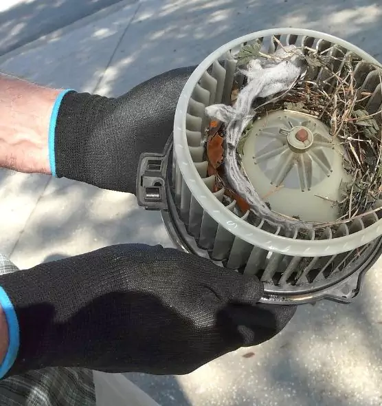 About Air Duct Rat Removal in Tallmadge, OH