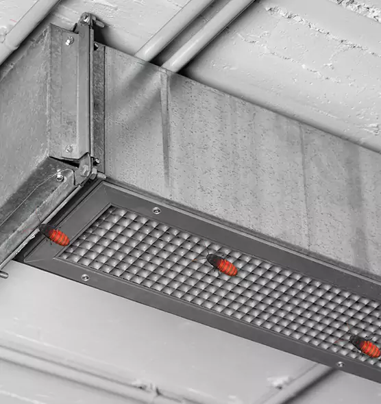 Affordable Insect Removal from Air Ducts in Tallmadge, OH